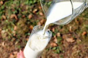 Filiera latte: il prezzo è sostenibile?