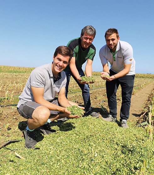 Josef Maier, Andrea Visentini, Alessandro Mianzan, Fendt, Katana 650